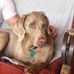 Beverly Freeman - Facebook
