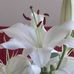 Bev Galbraith - Facebook