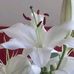Bev Galbraith - Facebook
