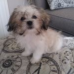 Beverly Garner - @beverlygarner116 - Instagram