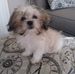 Beverly Garner - Facebook