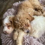 Beverly Garner - @bevgarner - Instagram