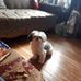 Beverley Gaudet - Facebook