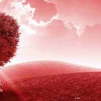 Beverly Gilson - Facebook