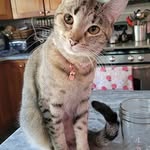 Beverly Gosselin - @gosselin.beverly - Instagram