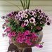 Bev Gower - Facebook