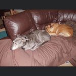 Beverley Gower - @bevgows - Instagram