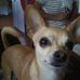 Beverly Gower - Facebook