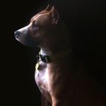 Beverly June Graf - @duchess_of_graftown - Instagram
