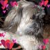 Beverly Greco - Facebook