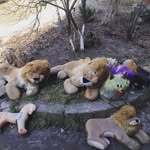 Beverley Greenwald - @beverleygreenwald - Instagram
