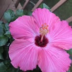 Beverly Greenwald Baylin - Facebook