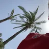 BeverlyGreer - @dy00rrjqxfr - TikTok