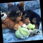 Beverly Grimes - @beverlygrimes38 - Instagram