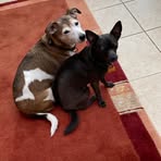 Beverly Grimshaw - Facebook