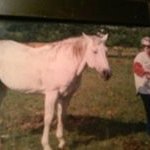 Beverly Grimsley - @beverlygrimsley - Instagram