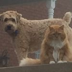 Beverly Gross Waddell - @beverly.g.waddell - Instagram