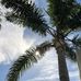 The Palms at Beverly Grove - Facebook