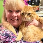 Bev Linn Guy - @beverlyguy3520 - Instagram