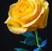 Beverley Guy - Facebook