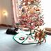 Beverly Guy - Facebook