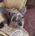 Beverly Haag - Facebook