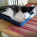 Bev Heckenberg - Facebook