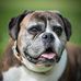 Beverly Haggerty - Facebook