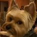 Beverly Hallmark - Facebook