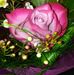 Beverly Halverson - Facebook