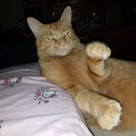 Beverly Bethards-Hamby - @bethardshamby - Instagram