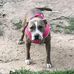 Beverly Hamby - Facebook