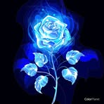 Beverly Hamel - Facebook