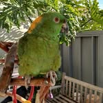 Beverly Hampton - @animal_lover_of_6 - Instagram