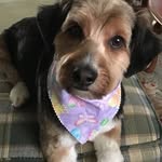 Beverly Handel - @handelbeverly - Instagram
