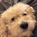 Beverly Hanks - @hanks.beverly - Instagram