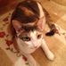 Beverly Hardesty - Facebook