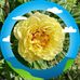 Beverly Hardesty - Facebook