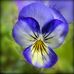 Beverly Hardin - Facebook
