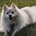 Beverly Harding - Facebook