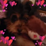 Beverly Hardwick - @hardwick7957 - Instagram