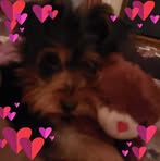 Beverly Hardwick - Facebook