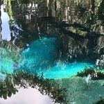 Beverly Harkey - @beverlyharkey - Instagram
