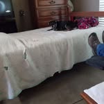 Beverly Harkey - @beverly.harkey - Instagram