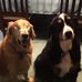Beverly Harmon - Facebook