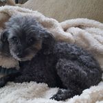 Beverly Harmon - @beverly.harmon.16 - Instagram