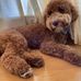 Beverly Harrah - Facebook