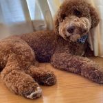 Beverly Harrah - @bev.harrah - Instagram