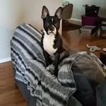 Beverly Hart - @beverlyhartme - Instagram