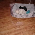 Beverly Hart - @beverly.hart.54390 - Instagram